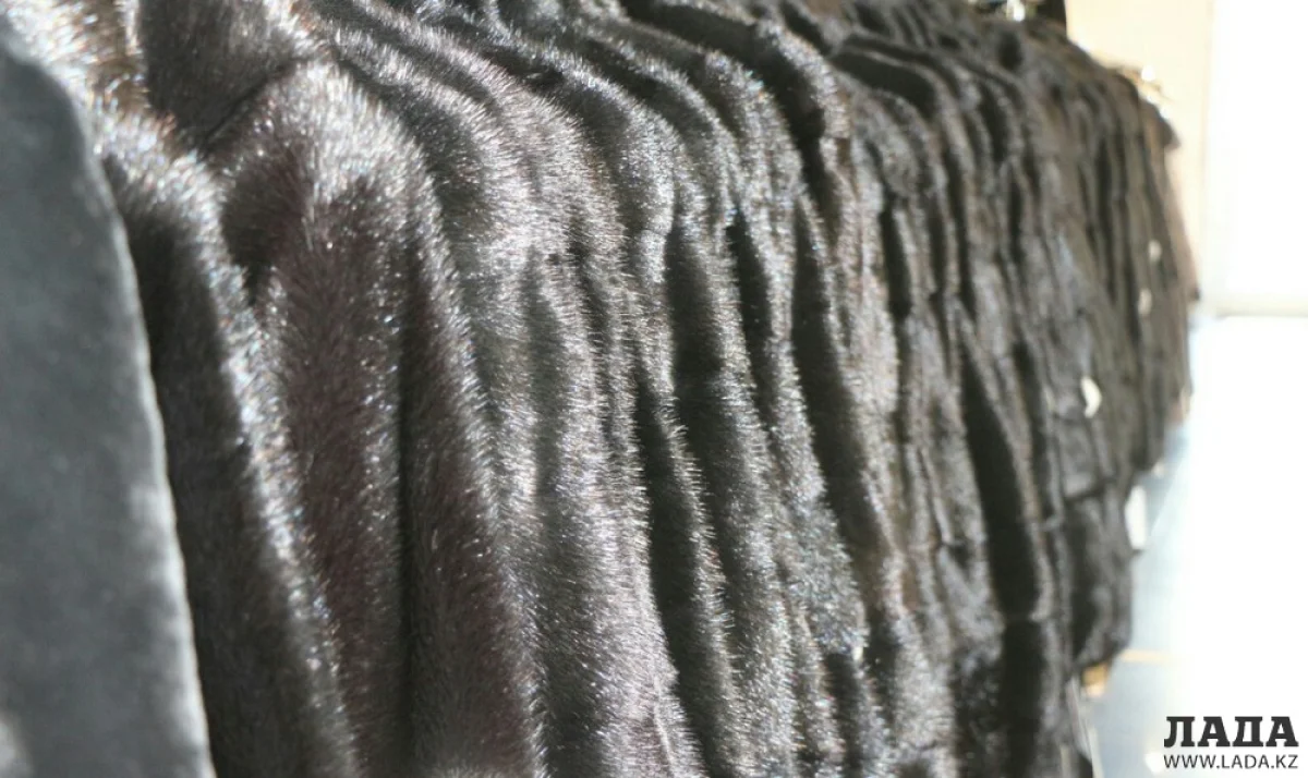 Фото Рашида Исмагилова