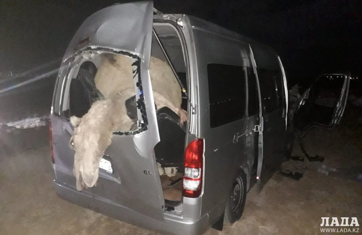 Фото очевидцев