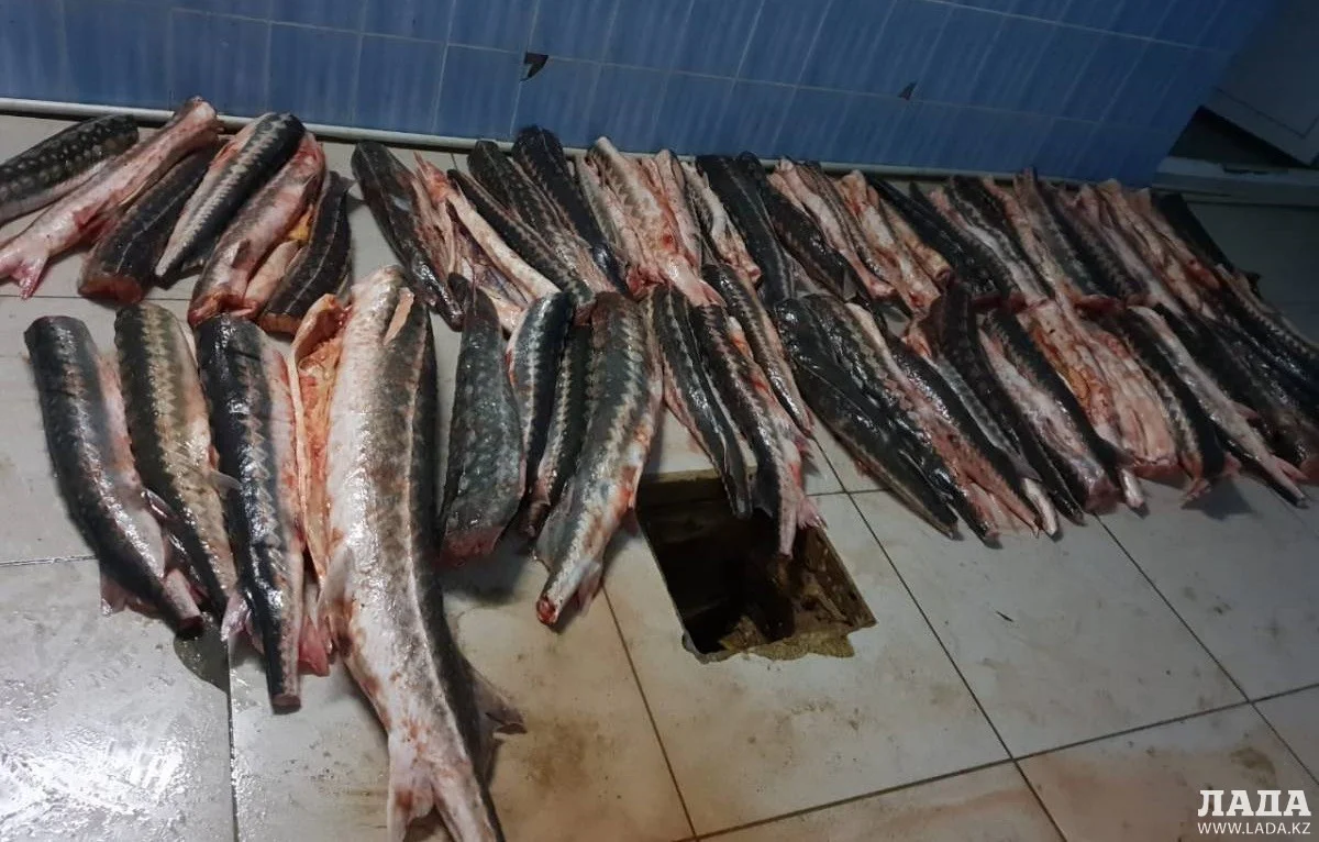 Фото из архива Lada.kz