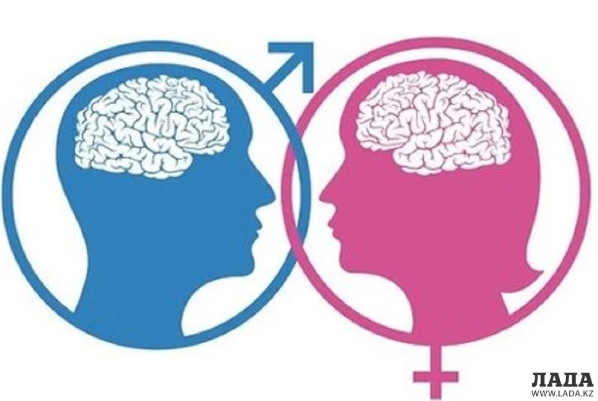 Иллюстративное фото