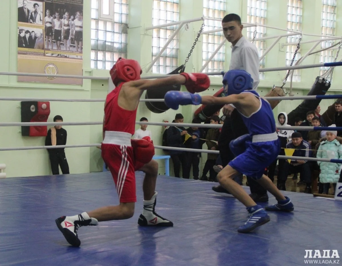 Финальные бои. Фото автора