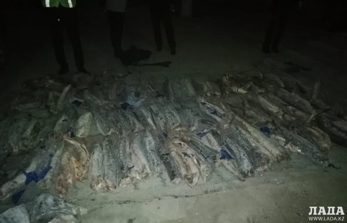 Фото предоставлено пресс-службой Департамента полиции Мангистауской области