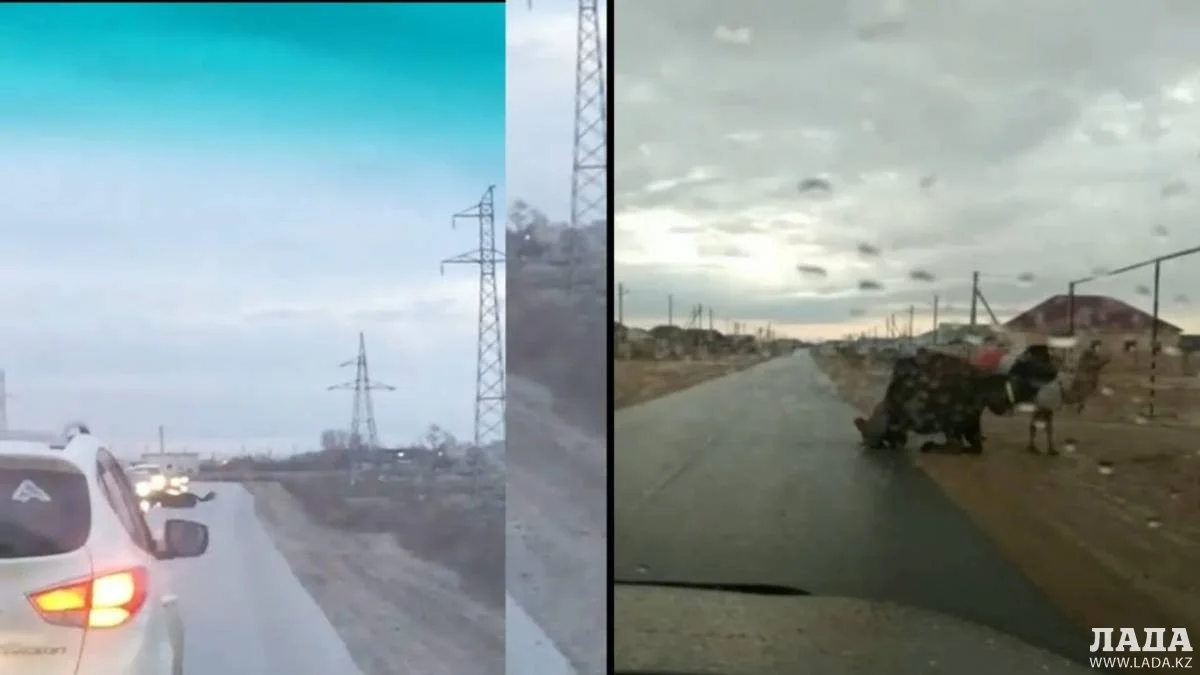 Кадры видео