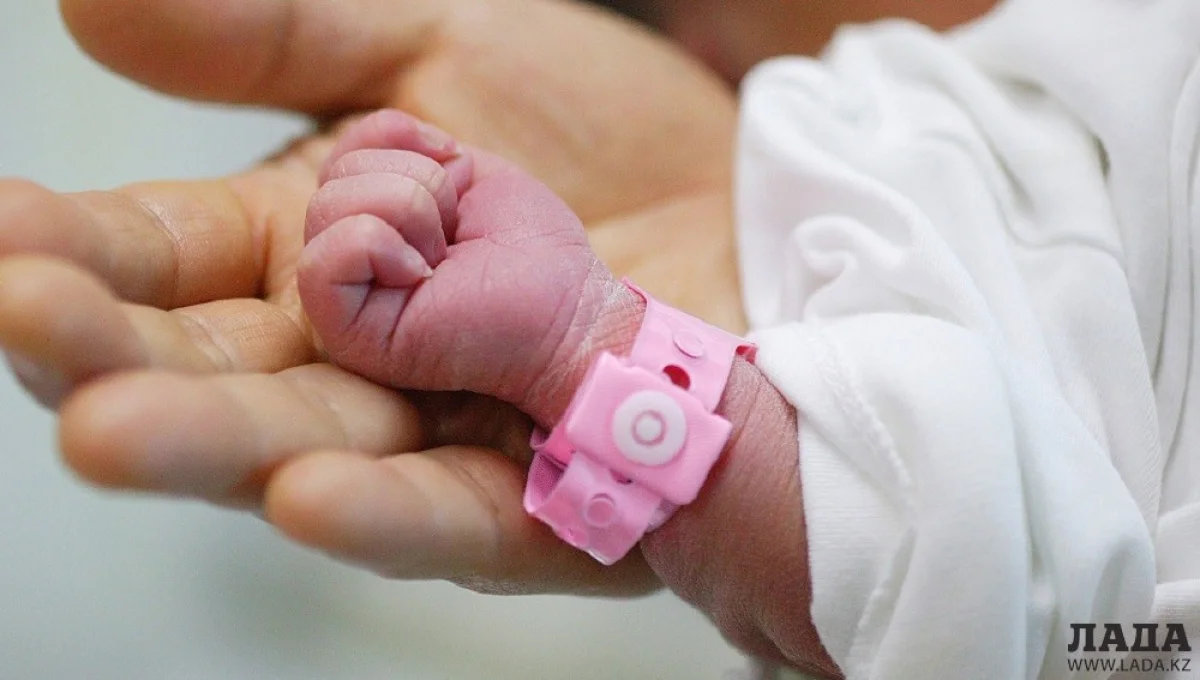 Иллюстративное фото