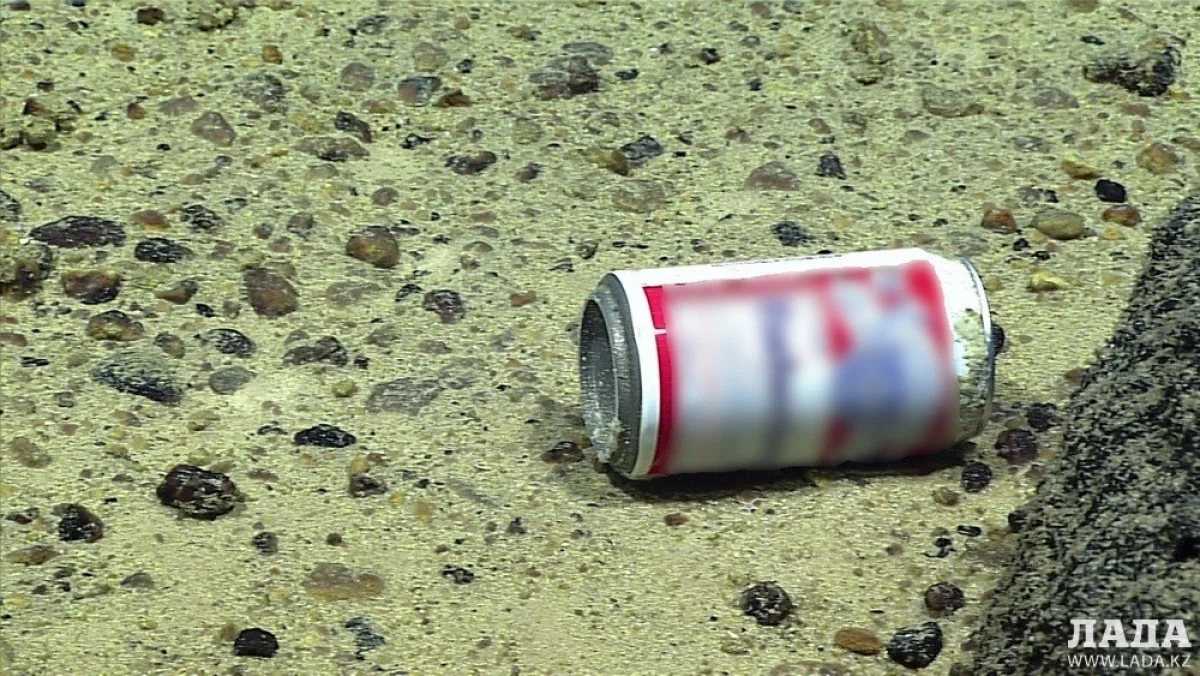 Фото из сети интернет