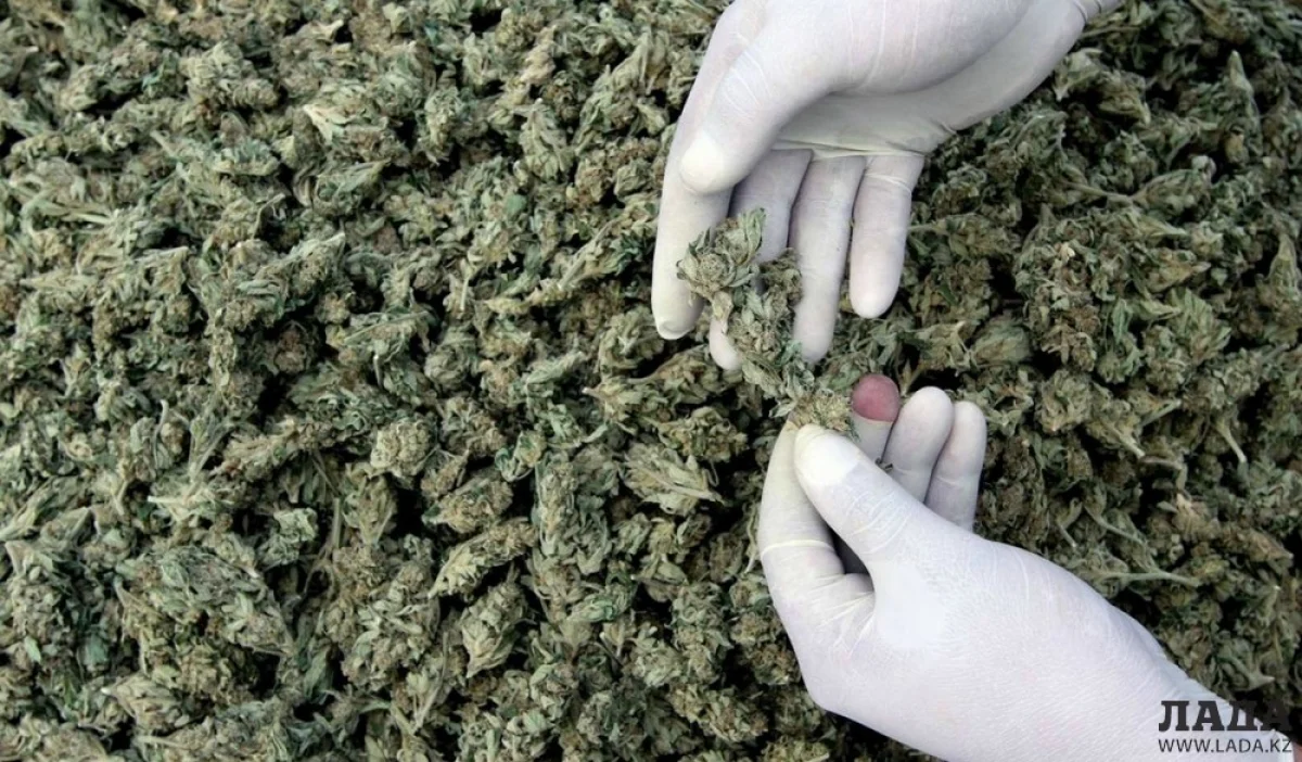 Фото из доступных источников