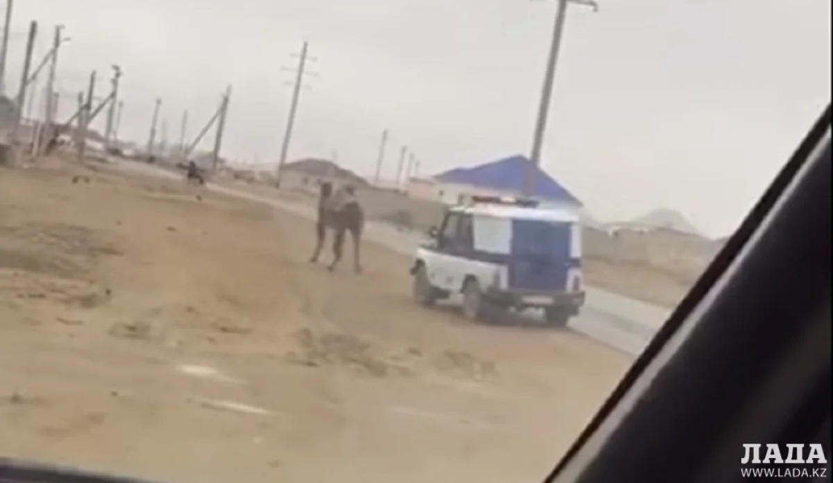 Скриншот с видео