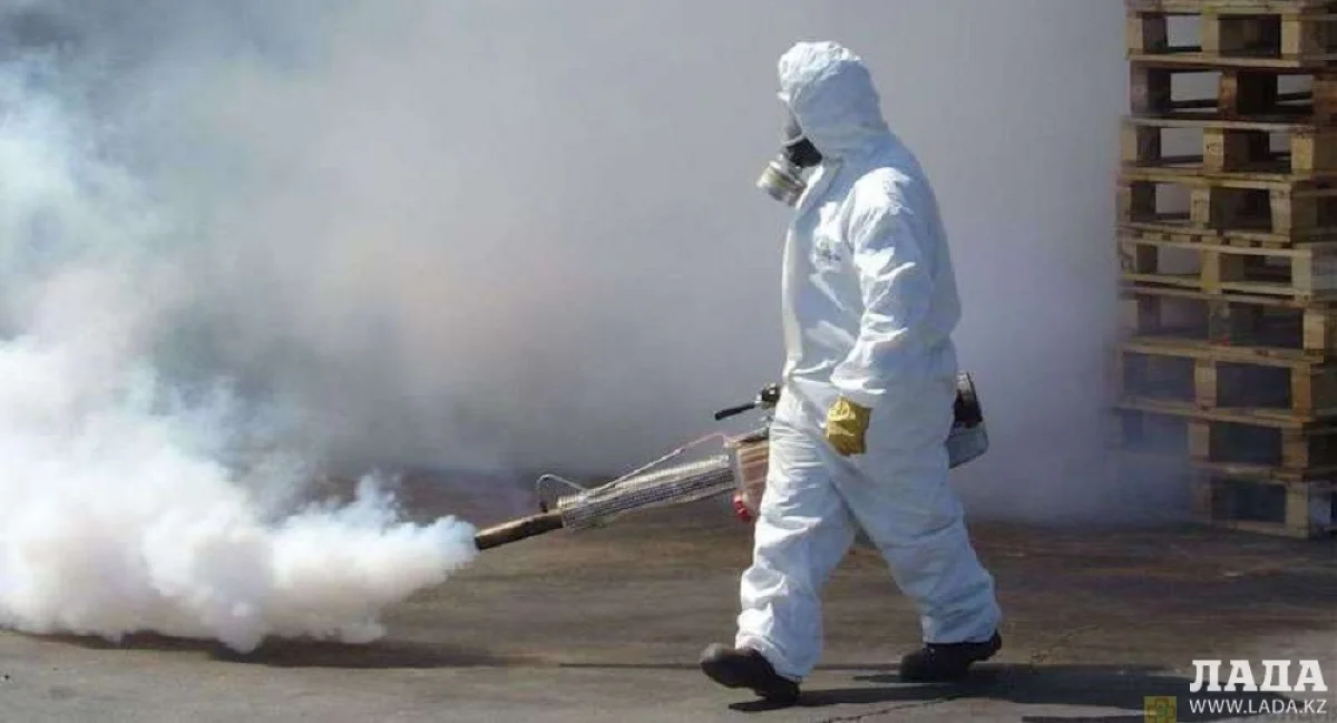 Иллюстративное фото