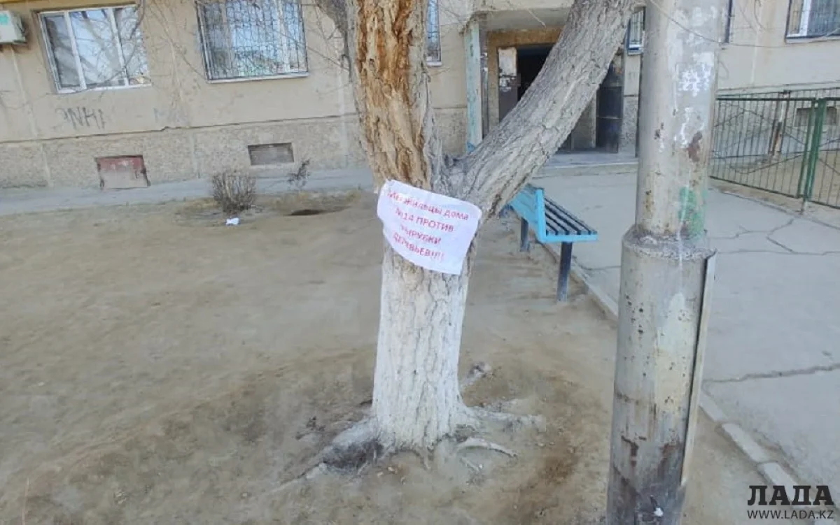 Фото пользователя Lada.kz