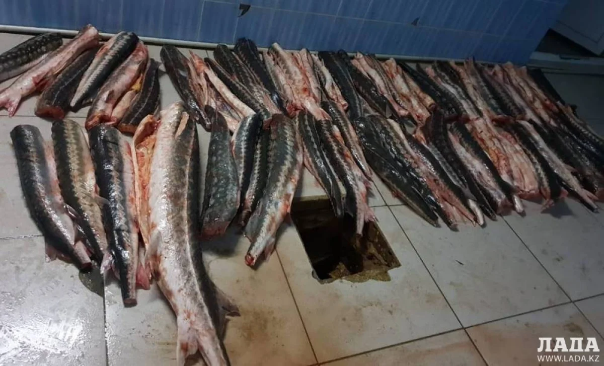 Фото из архива «Лады»