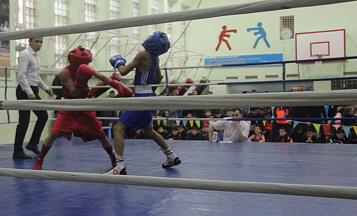 Финальный бой участников турнира. Фото автора