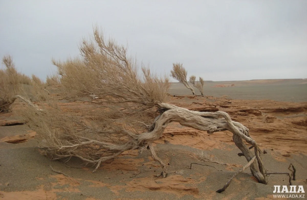 Фото с сайта flickr.com