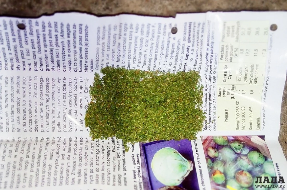 Фото с сайта mvddnr.ru