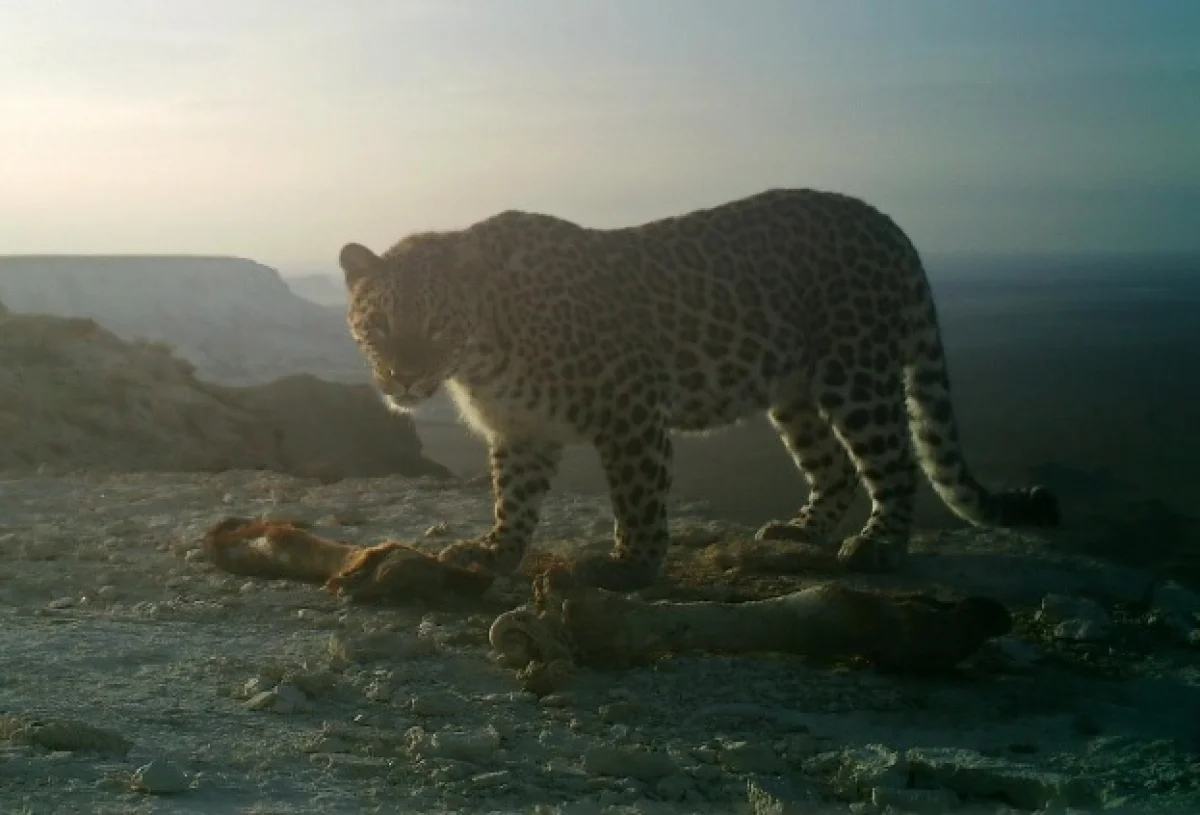 Фото предоставлено Марком Пестовым