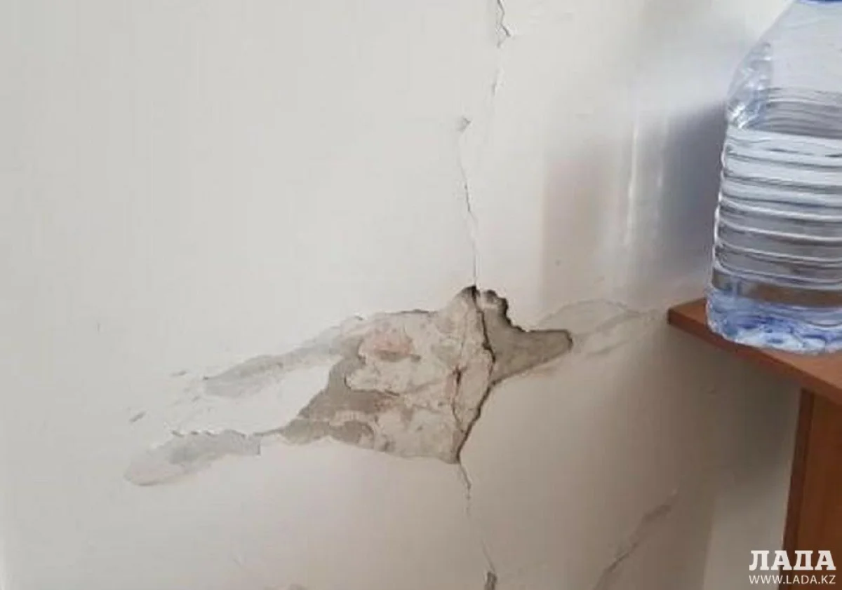 Фото пользователя