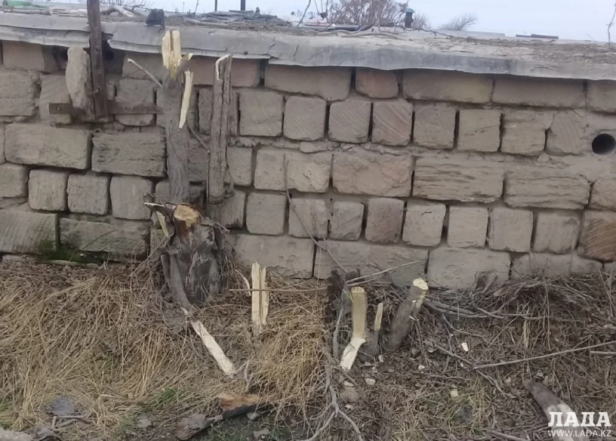 Фото пользователя Lada.kz