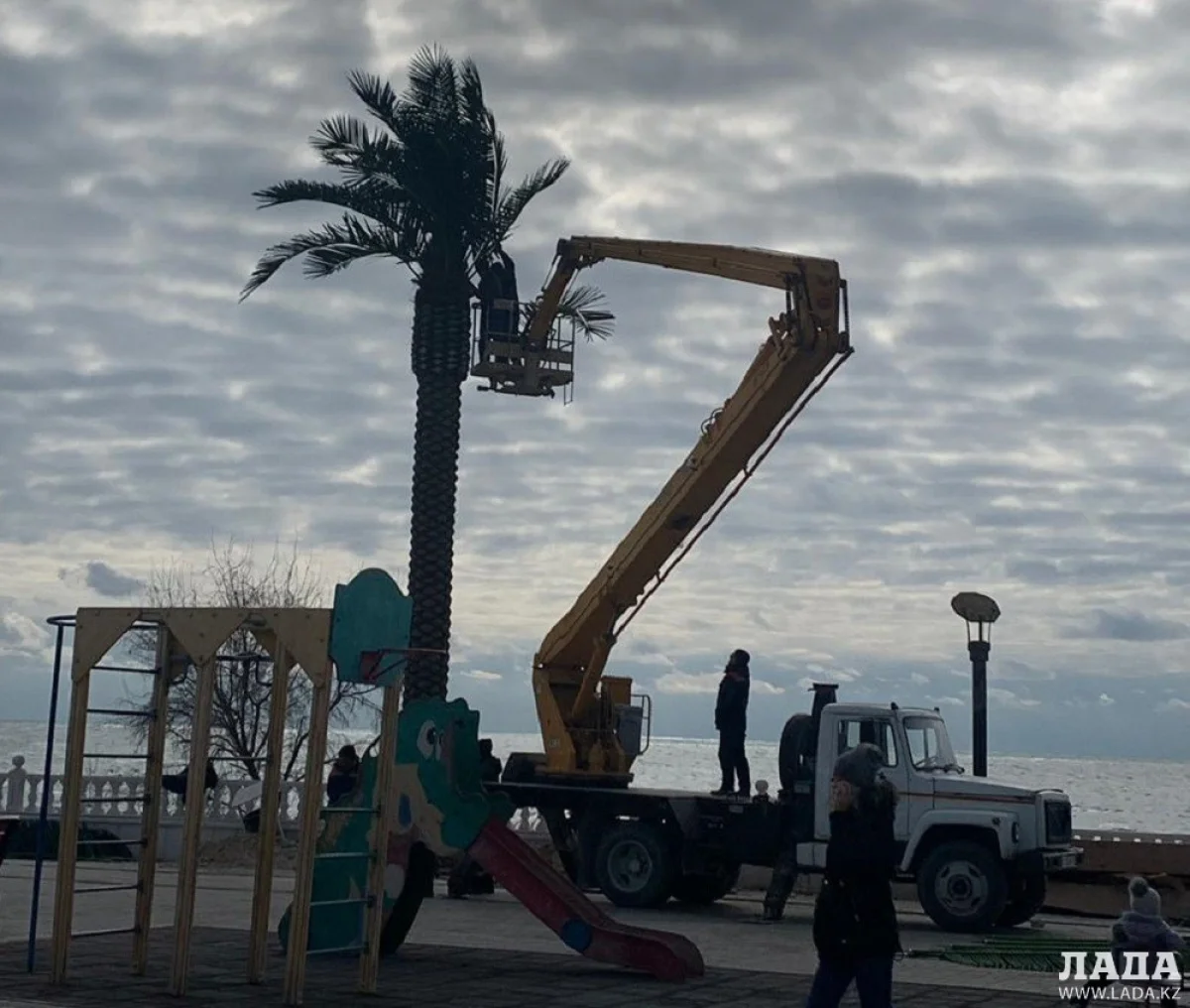 Фото пользователей Сети