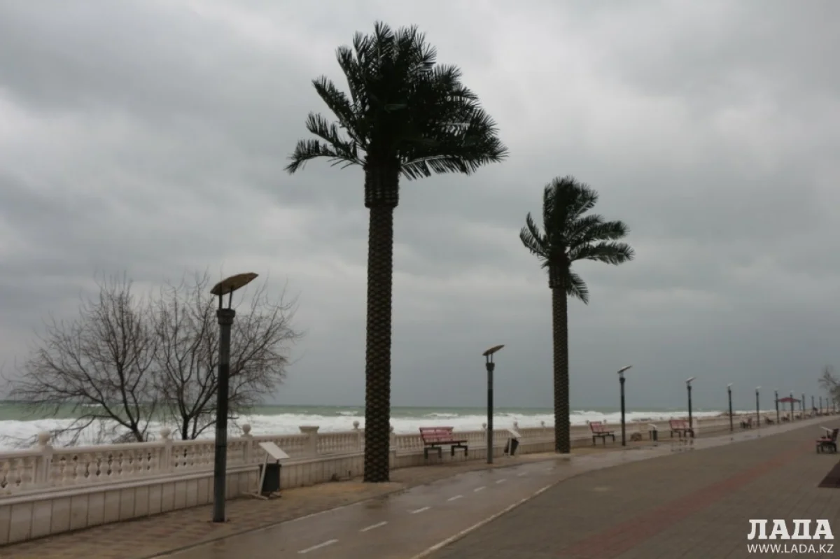 Фото Рашида Исмагилова