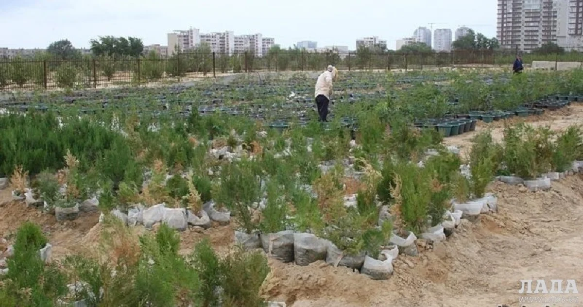 Фото из архива Lada.kz