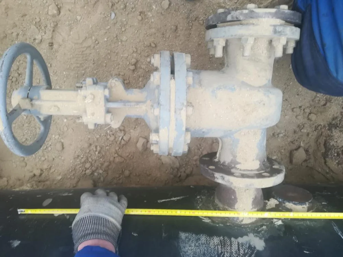 Фото предоставлено достоверным источником