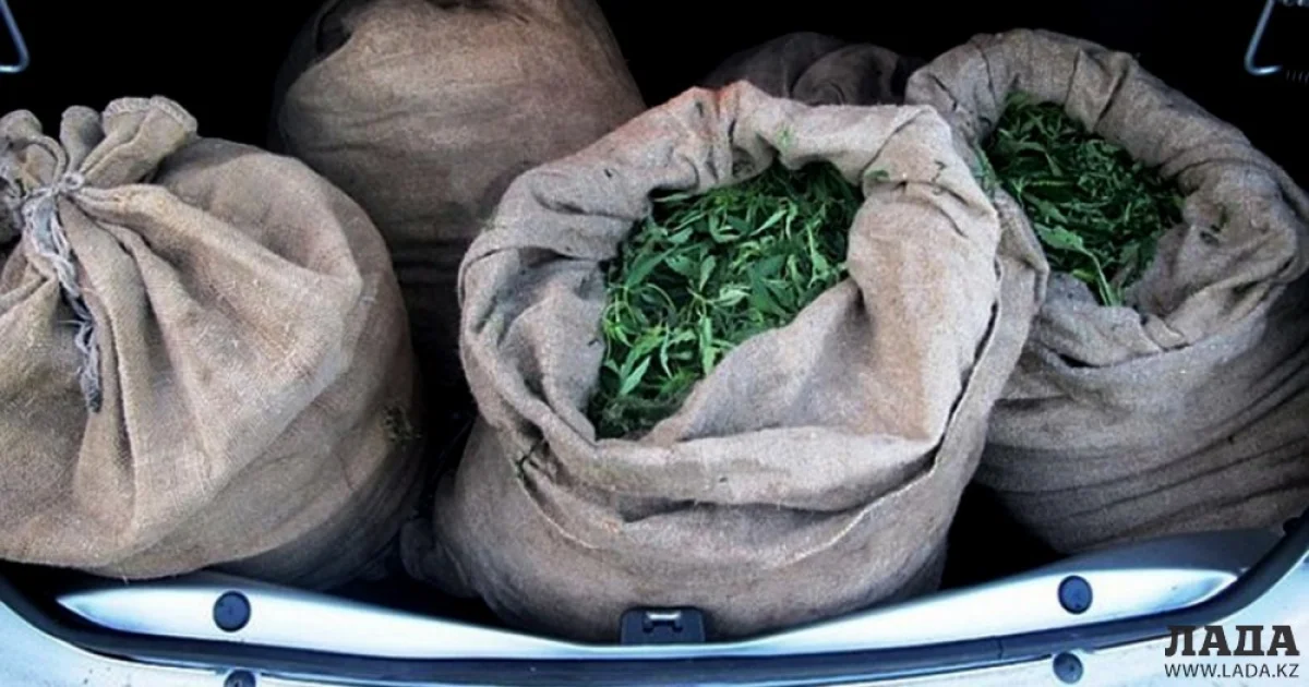 Фото из доступных источников