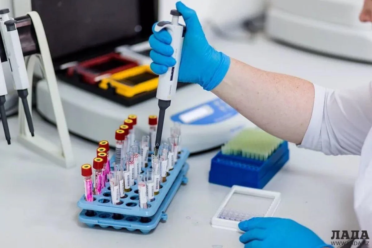 Иллюстративное фото