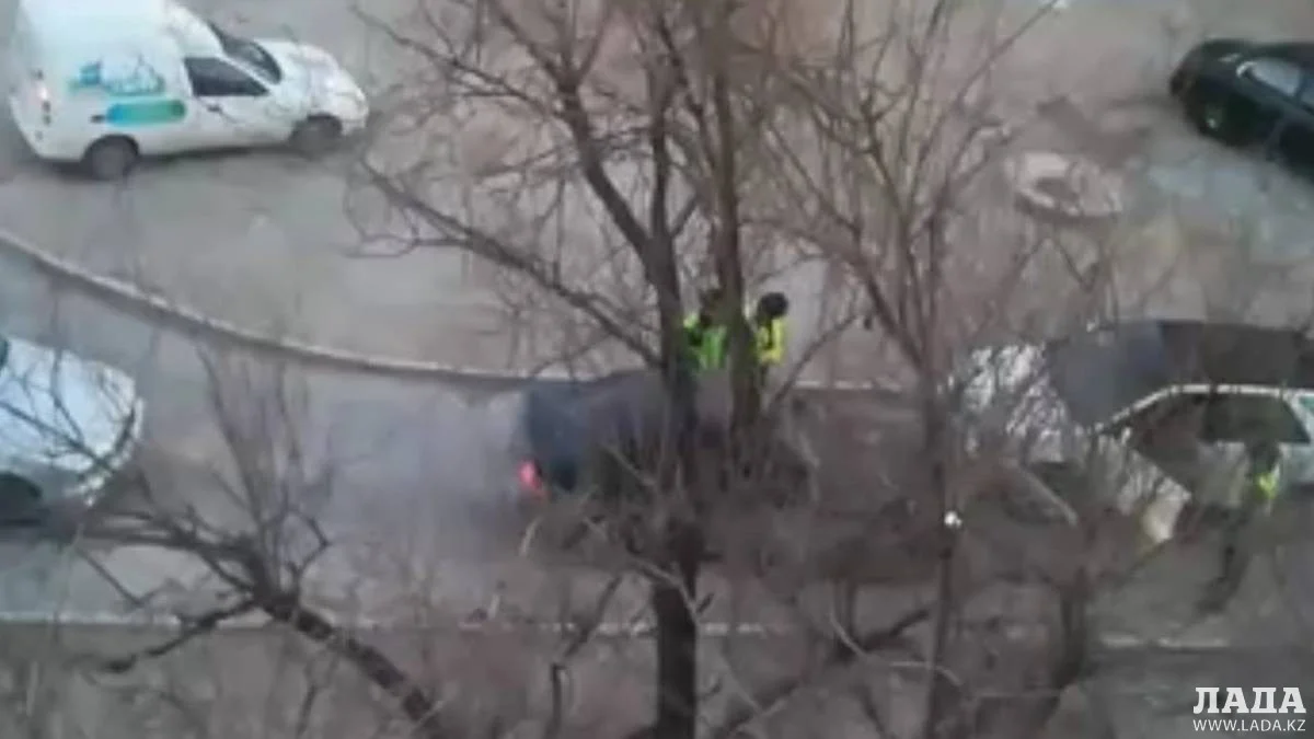 Кадр из видео