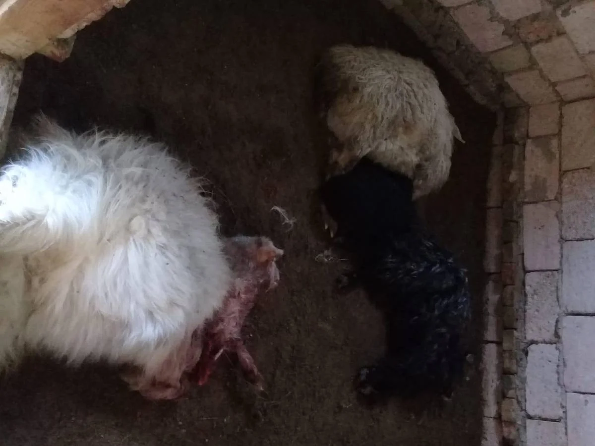 Фото жителей села