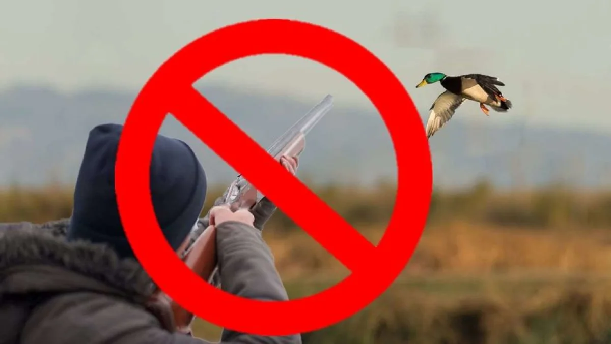 Фото Informburo.kz