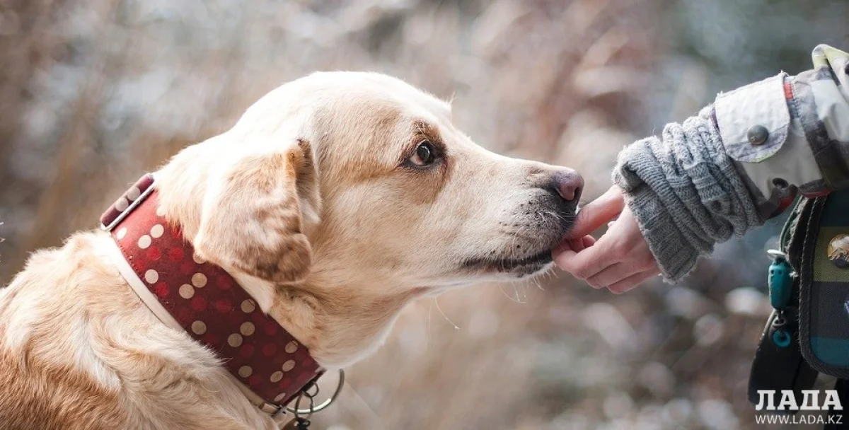 Иллюстративное фото с сайта forshmag.me