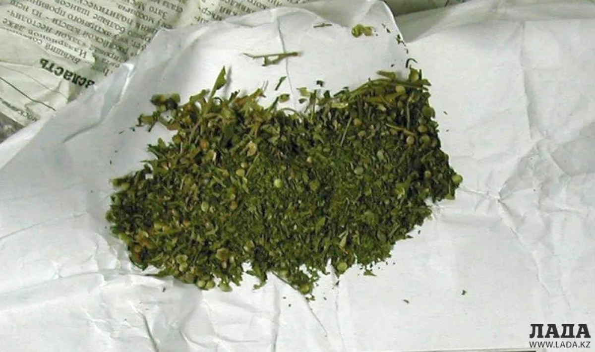 Фото из доступных источников