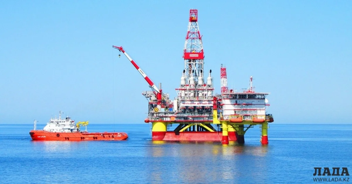 Фото из доступных источников