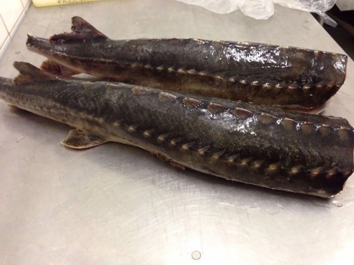 Фото из доступных источников