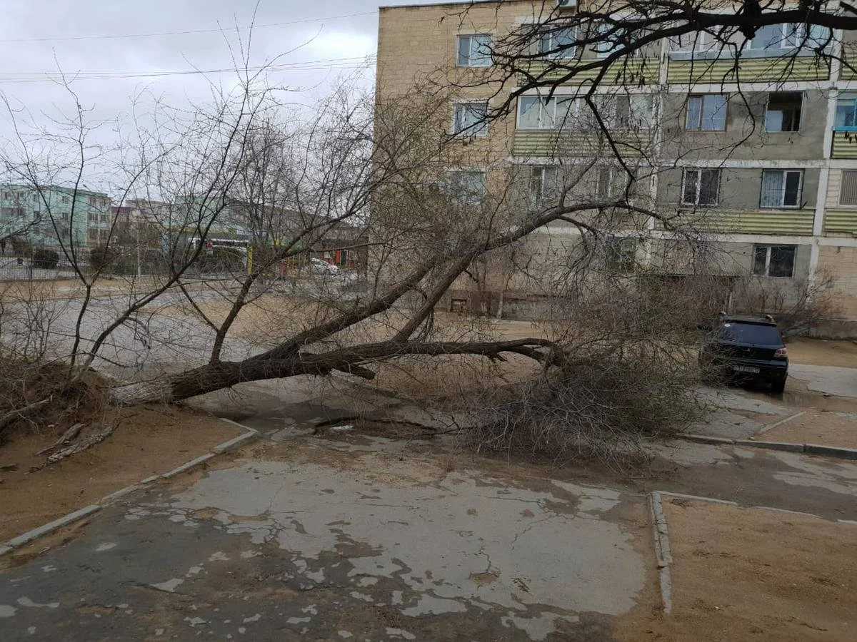 Фото очевидцев