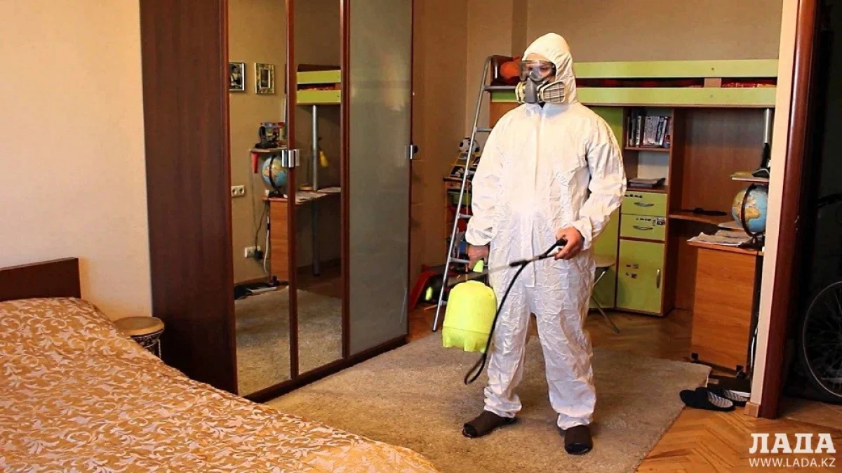 Иллюстративное фото с сайта glavses.ru