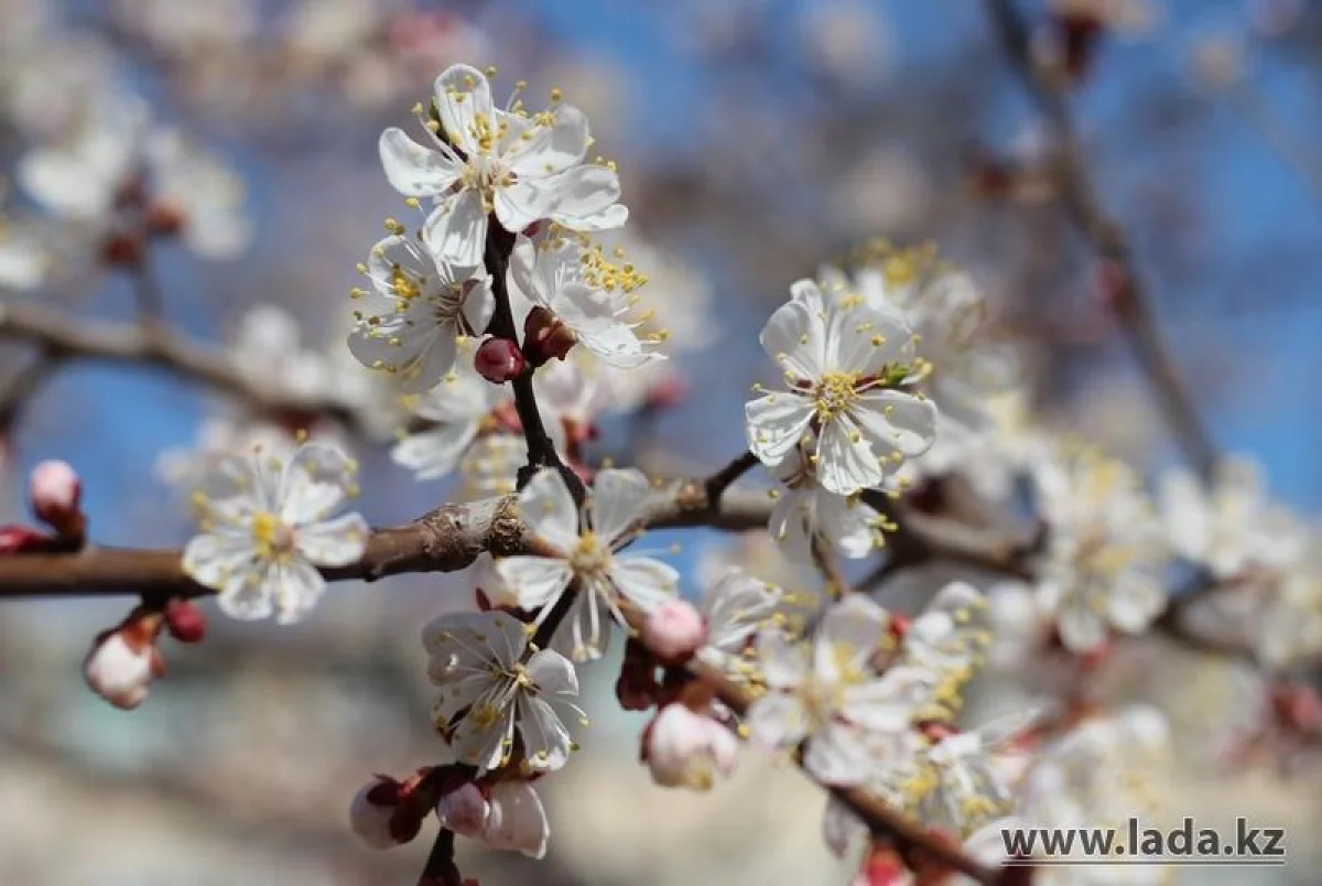 Фото из архива