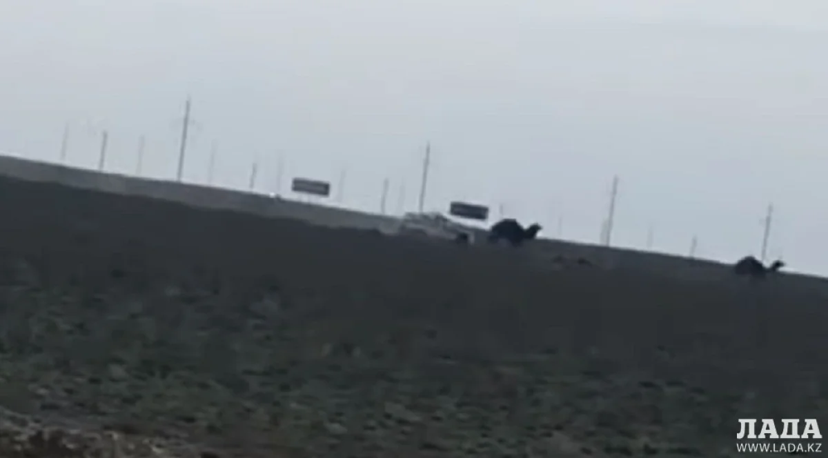 Скриншот видеоматериала