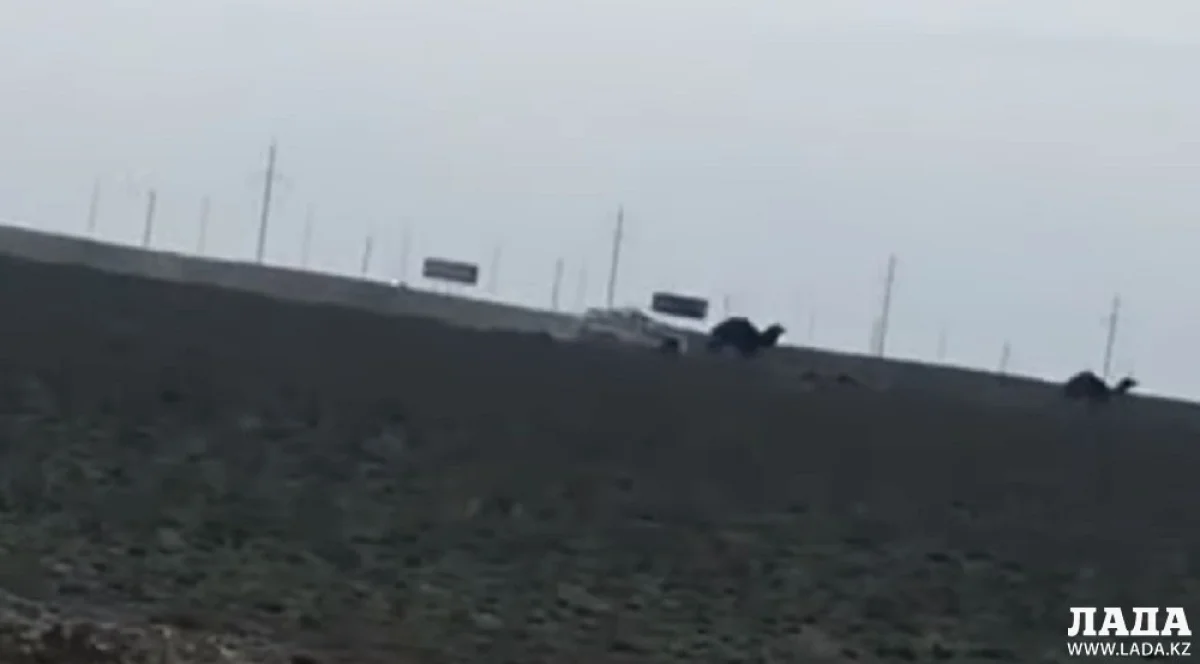 Скриншот видеоматериала