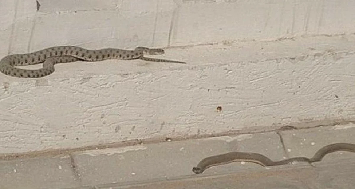 Фото очевидцев