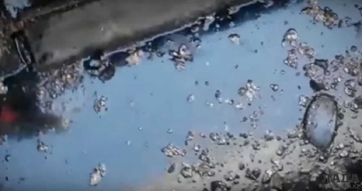 Скриншот видеоматериала