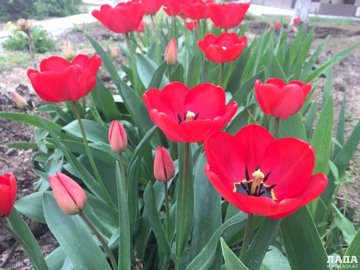 Фото Рашида Исмагилова