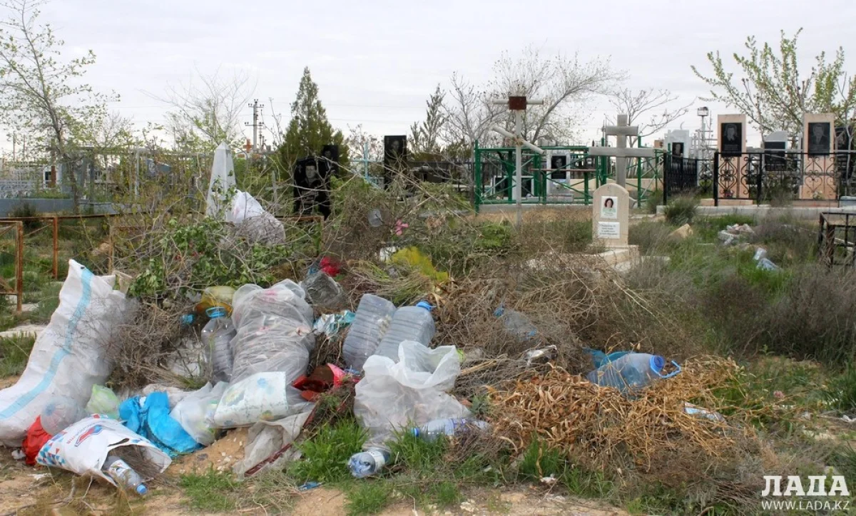 Фото Сергея Кораблева