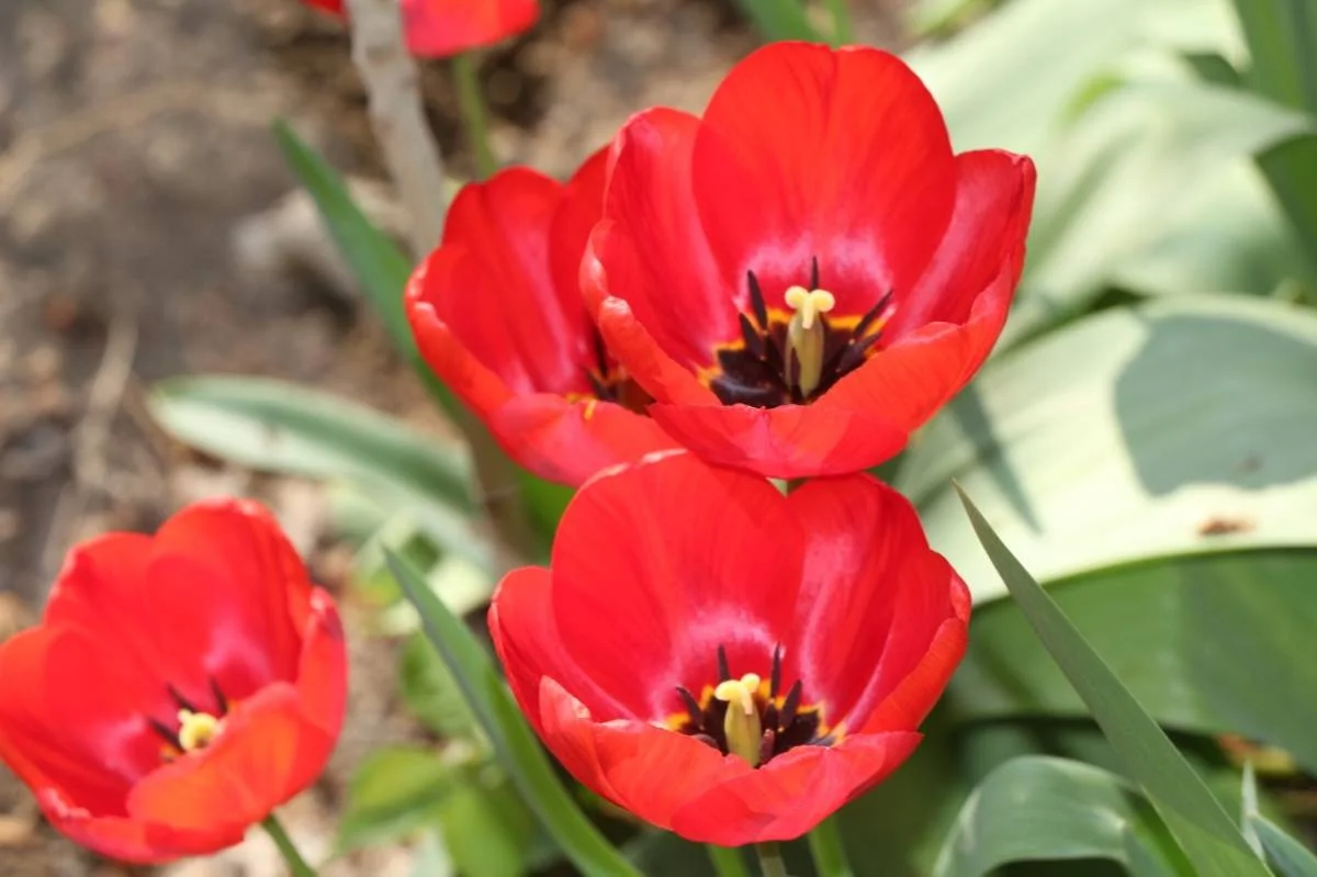 Фото Рашида Исмагилова