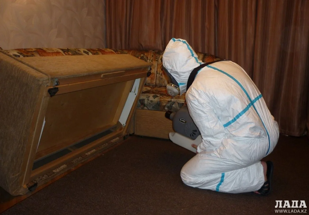 Иллюстративное фото с сайта klopam-net.ru