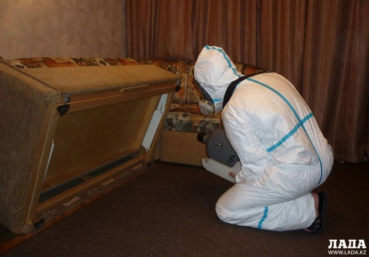 Иллюстративное фото из архива Lada.kz