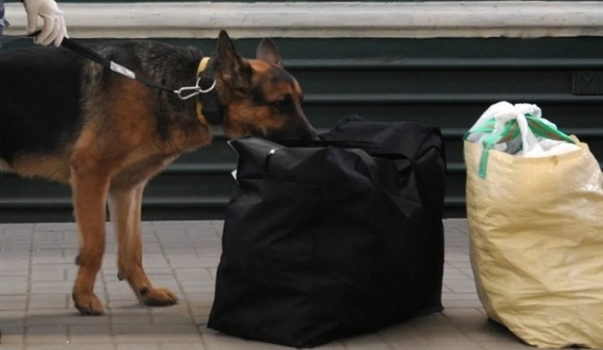 Иллюстративное фото