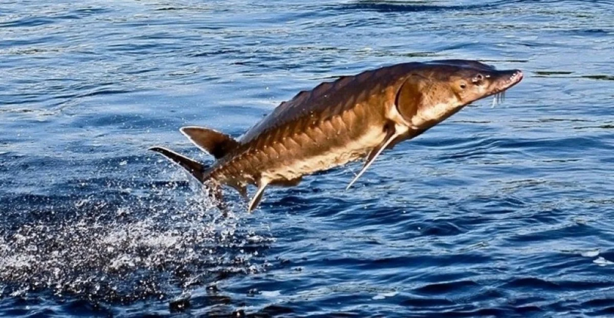 Фото из архива Lada.kz