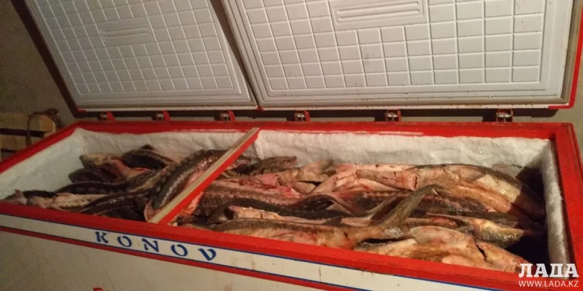 Фото предоставлено пресс-службой департамента полиции Мангистауской области