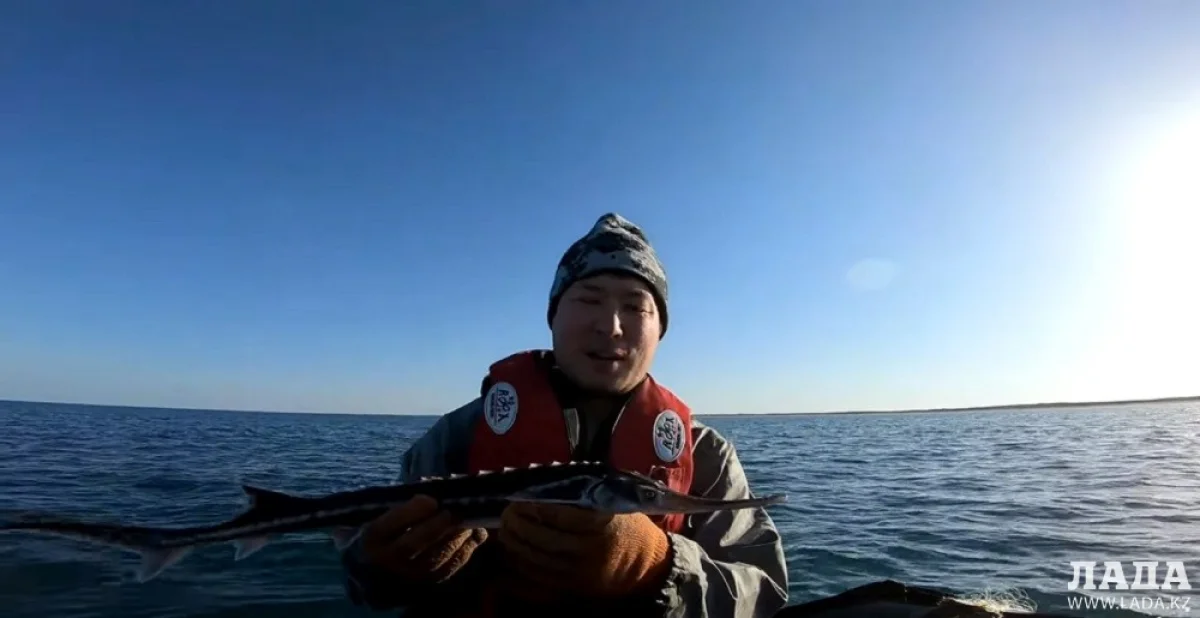 Скриншот видеоматериала