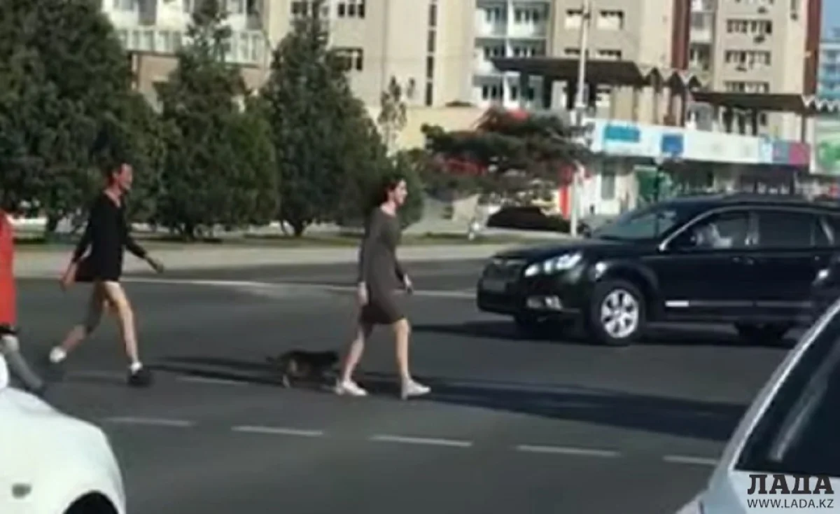 Скриншот видеоматериала